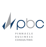 Professional Services Pinnacle Business Consulting in Germiston GP