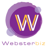 Professional Services WebsterBiz Consulting in Cape Town WC