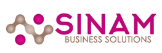 Professional Services SinaM Business Solutions PTY LTD in Johannesburg GP