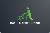 Professional Services KayLuu Consulting in Cape Town WC