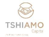 Professional Services Tshiamo Capital in Pretoria GP