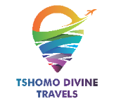 Professional Services Tshomo Divine Travels in Boksburg GP