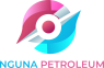 Professional Services Nguna Petroleum in  