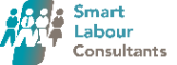 Professional Services Smart Labour Consultants in Springs GP