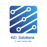 Professional Services KEI Solutions in  