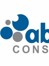 Abuno Consulting