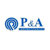 Professional Services P&A Chartered Accountants in Alberton GP