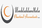 Professional Services Umhlahlandlela Chartered Accountants in Randburg GP