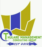 Professional Services Thulare Consulting Accountants in Soweto GP