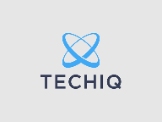 Logo TECHIQ PROJECTS