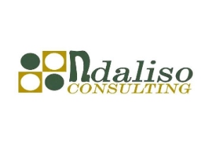 Ndaliso Consulting